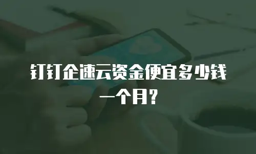 钉钉企速云资金便宜多少钱一个月？