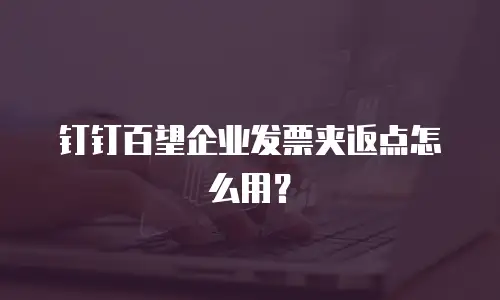 钉钉百望企业发票夹返点怎么用？