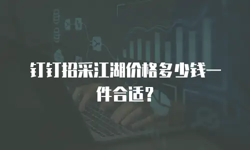 钉钉招采江湖价格多少钱一件合适？