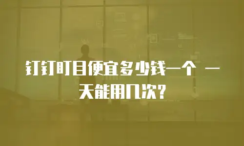 钉钉盯目便宜多少钱一个 一天能用几次？
