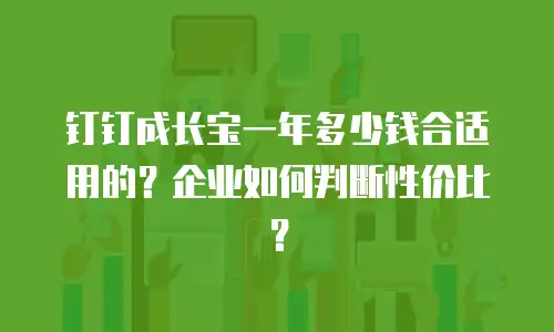 钉钉成长宝一年多少钱合适用的？企业如何判断性价比？