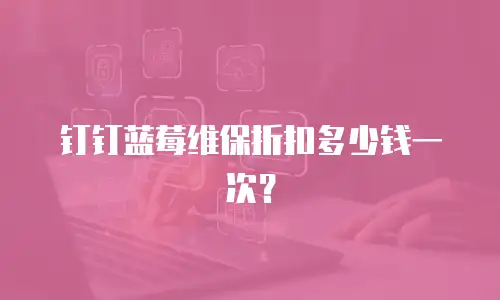 钉钉蓝莓维保折扣多少钱一次？