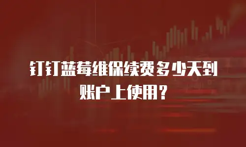 钉钉蓝莓维保续费多少天到账户上使用？