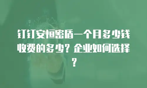 钉钉安恒密盾一个月多少钱收费的多少？企业如何选择？