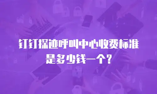 钉钉探迹呼叫中心收费标准是多少钱一个？