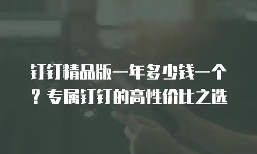 钉钉精品版一年多少钱一个？专属钉钉的高性价比之选