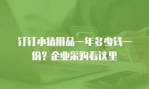 钉钉小猪用品一年多少钱一份？企业采购看这里