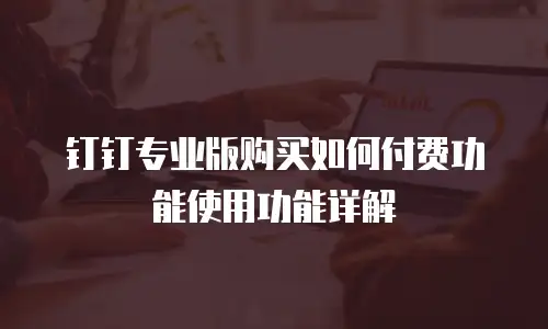 钉钉专业版购买如何付费功能使用功能详解