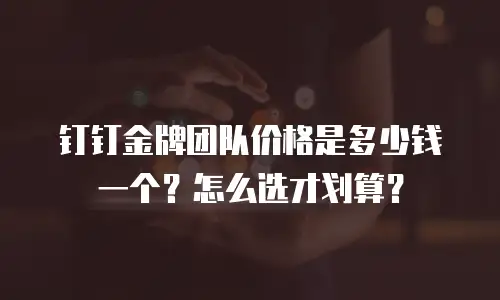 钉钉金牌团队价格是多少钱一个？怎么选才划算？