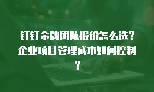 钉钉金牌团队报价怎么选？企业项目管理成本如何控制？
