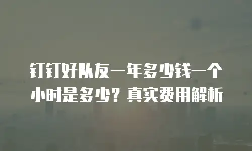 钉钉好队友一年多少钱一个小时是多少？真实费用解析