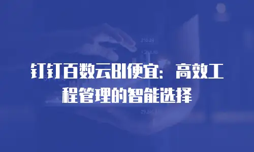 钉钉百数云BI便宜：高效工程管理的智能选择