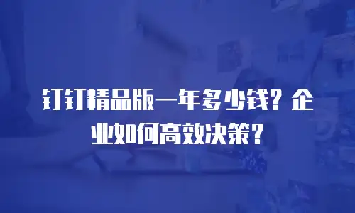 钉钉精品版一年多少钱？企业如何高效决策？