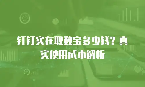 钉钉实在取数宝多少钱？真实使用成本解析