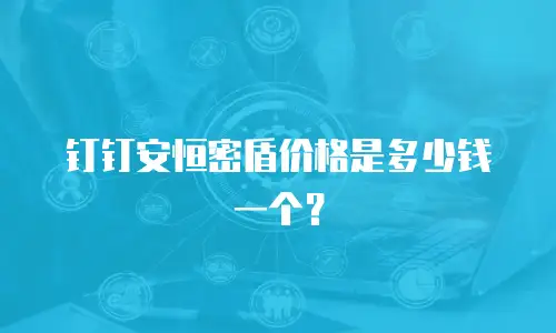 钉钉安恒密盾价格是多少钱一个？