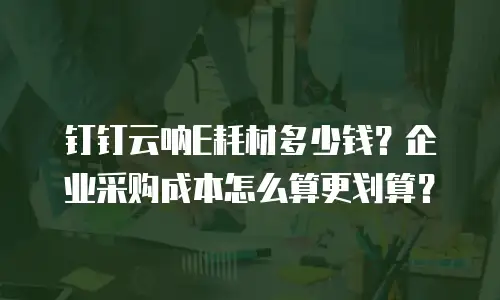 钉钉云呐E耗材多少钱？企业采购成本怎么算更划算？