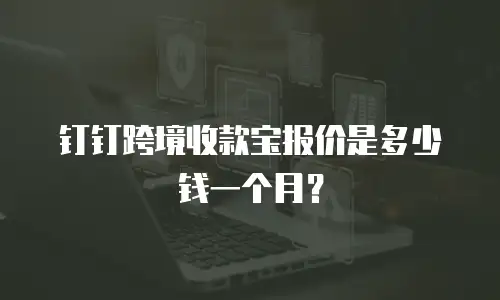 钉钉跨境收款宝报价是多少钱一个月？