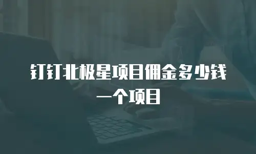 钉钉北极星项目佣金多少钱一个项目