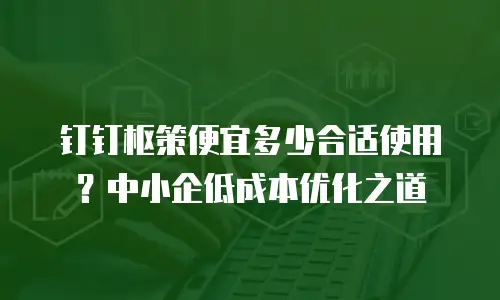 钉钉枢策便宜多少合适使用？中小企低成本优化之道