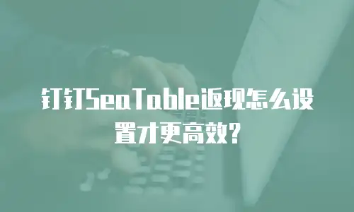 钉钉SeaTable返现怎么设置才更高效？