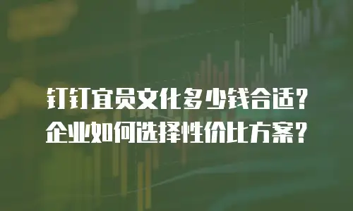 钉钉宜员文化多少钱合适？企业如何选择性价比方案？