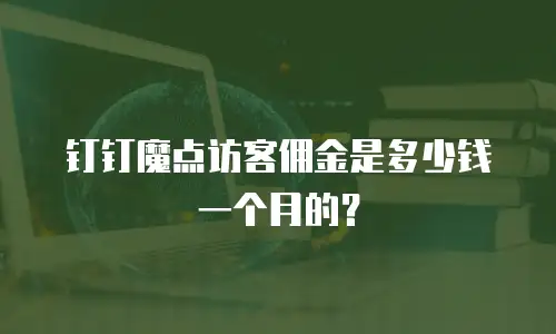 钉钉魔点访客佣金是多少钱一个月的？