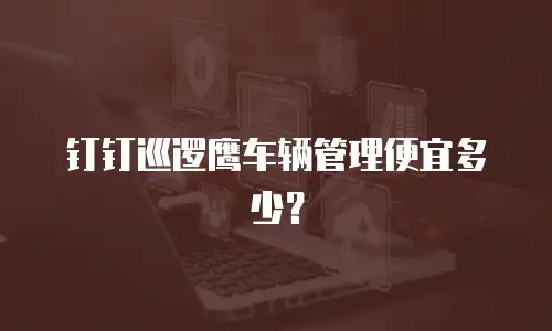 钉钉巡逻鹰车辆管理便宜多少？