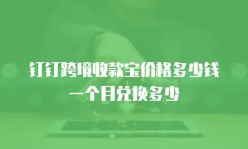 钉钉跨境收款宝价格多少钱一个月兑换多少