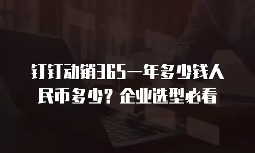 钉钉动销365一年多少钱人民币多少？企业选型必看