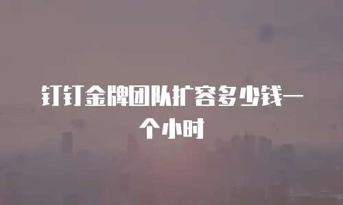 钉钉金牌团队扩容多少钱一个小时