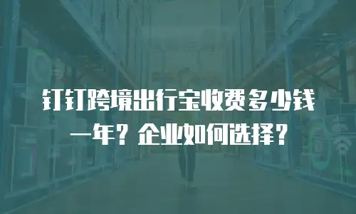 钉钉跨境出行宝收费多少钱一年？企业如何选择？