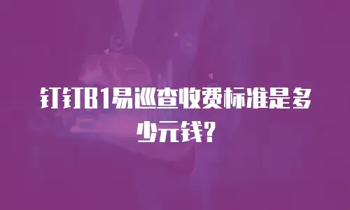 钉钉B1易巡查收费标准是多少元钱？