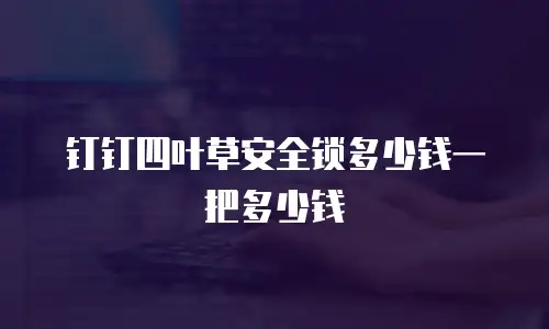 钉钉四叶草安全锁多少钱一把多少钱