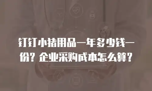 钉钉小猪用品一年多少钱一份？企业采购成本怎么算？