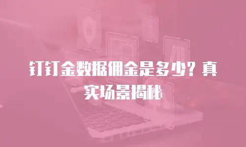 钉钉金数据佣金是多少？真实场景揭秘