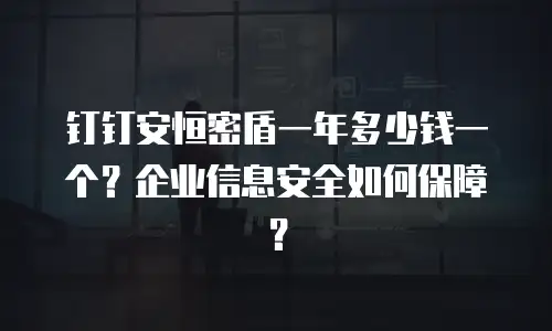 钉钉安恒密盾一年多少钱一个？企业信息安全如何保障？