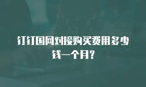 钉钉国网对接购买费用多少钱一个月？