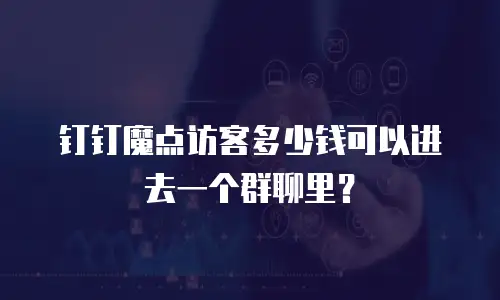 钉钉魔点访客多少钱可以进去一个群聊里？