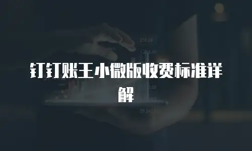钉钉账王小微版收费标准详解