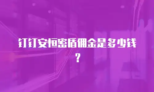 钉钉安恒密盾佣金是多少钱？