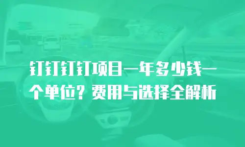 钉钉钉钉项目一年多少钱一个单位？费用与选择全解析