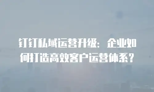 钉钉私域运营升级：企业如何打造高效客户运营体系？