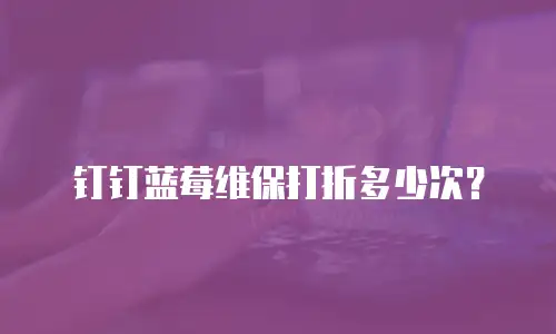 钉钉蓝莓维保打折多少次？
