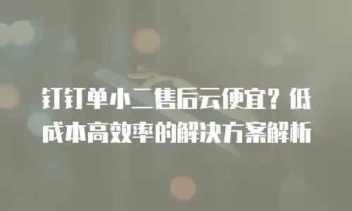 钉钉单小二售后云便宜？低成本高效率的解决方案解析