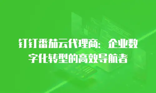 钉钉番茄云代理商：企业数字化转型的高效导航者