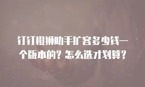 钉钉橙狮助手扩容多少钱一个版本的？怎么选才划算？