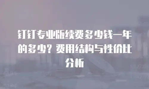 钉钉专业版续费多少钱一年的多少？费用结构与性价比分析