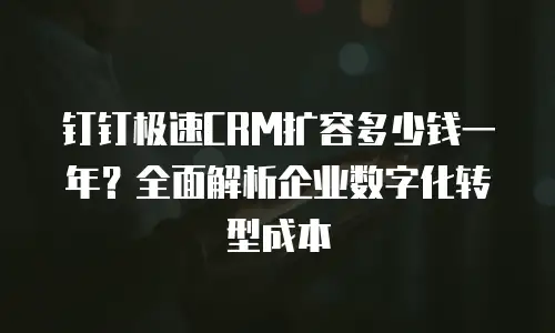 钉钉极速CRM扩容多少钱一年？全面解析企业数字化转型成本