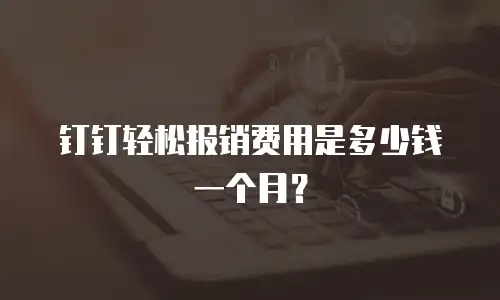 钉钉轻松报销费用是多少钱一个月？