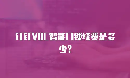 钉钉VOC智能门锁续费是多少？